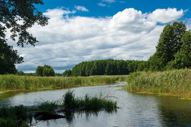 Piękne jezioro krajobrazowe na tle błękitnego nieba