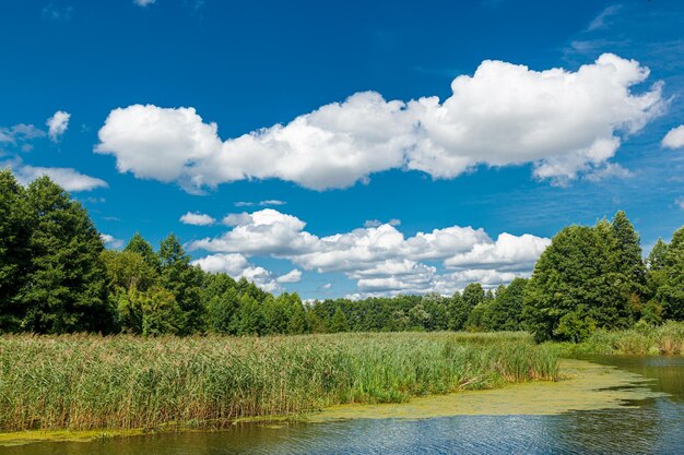 Piękne Jezioro Krajobrazowe Na Tle Błękitnego Nieba