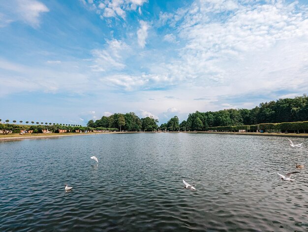 Piękne jezioro, nad którym ptaki latają pod niebieskim niebem i otoczone zielonymi drzewami.