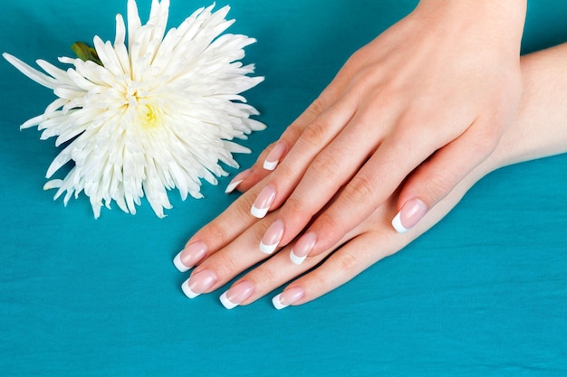 Piękne kobiece dłonie z francuskim manicure