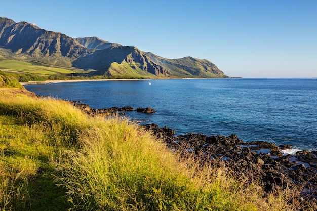 Zdjęcie piękne krajobrazy na wyspie oahu na hawajach