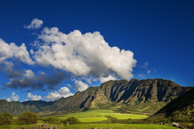 Piękne krajobrazy na wyspie Oahu na Hawajach