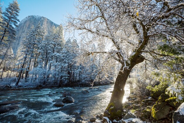 Piękne krajobrazy wczesną wiosną w Parku Narodowym Yosemite, Yosemite, USA