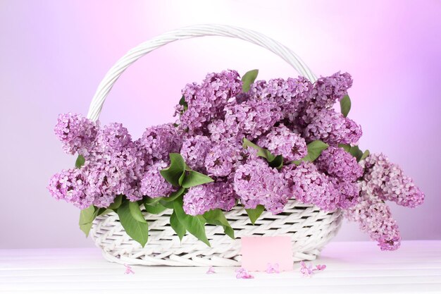 Piękne kwiaty bzu w koszu na fioletowym tle