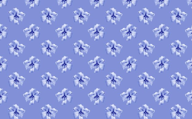 Piękne kwiaty niebieskie lilie Jednolity wzór kwiatu lilii Kwiatowe naturalne tło