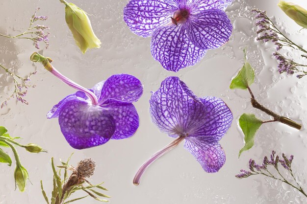 Zdjęcie piękne kwiaty orchidei w wodzie widok górny płaski leżał wysokiej jakości zdjęcie