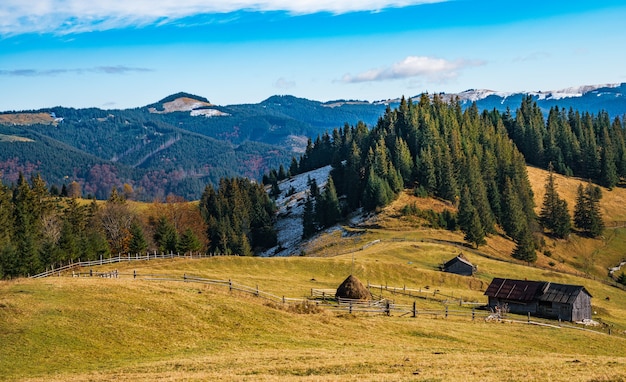 Piękne lasy pokrywające Karpaty i mała wioska