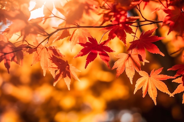 Piękne liście klonu w jesienny słoneczny dzień na pierwszym planie i rozmyte tło Generative AI