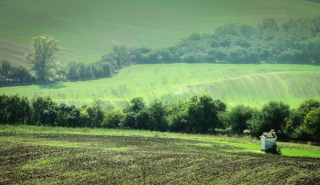 Zdjęcie piękne morawskie pola