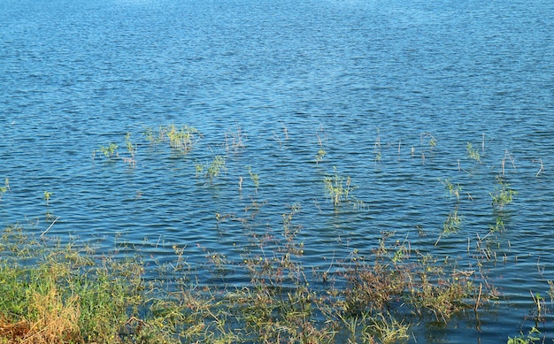 Piękne niebieskie fale wody w słońcu