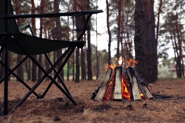 Piękne ognisko z płonącym drewnem opałowym w pobliżu krzesła w lesie