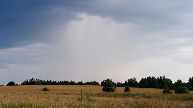 Piękne pole krajobrazowe w letni dzień wiejskiej sceny