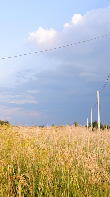 Piękne Pole Krajobrazowe W Letni Dzień Wiejskiej Sceny