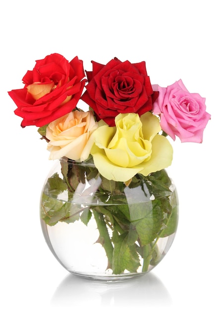 Piękne róże w szklanym wazonie na białym tle