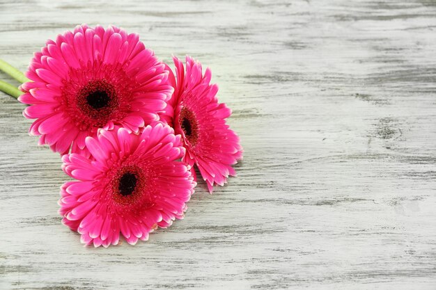 Piękne różowe kwiaty gerbera na drewnianym stole