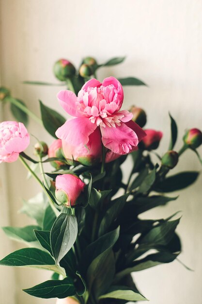 Piękne różowe piwonie na rustykalnym białym drewnianym tle widok z góry miejsce na tekst kwiatowy kartkę z życzeniami piękny wzór kwiatów piwonii delikatny obraz koncepcja szczęśliwego dnia matki