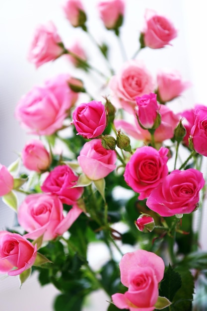 Piękne Różowe Róże Na Jasnym Tle