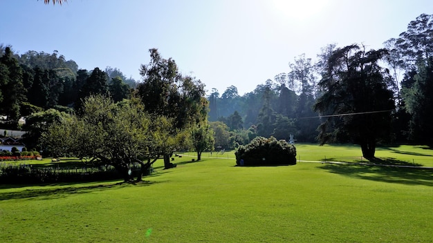 Piękne rządowe ogrody botaniczne w Ooty Tamilnadu w Indiach