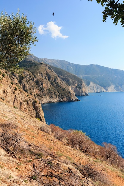 Piękne skaliste wybrzeże w słoneczny dzień z drzewami oliwnymi. Morze Jońskie, Kefalonia, Grecja