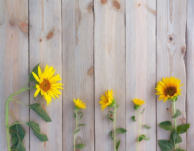 Piękne słoneczniki na rustykalnej drewnianej desce