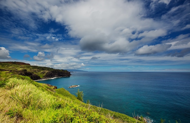 Piękne tropikalne krajobrazy na wyspie Maui na Hawajach