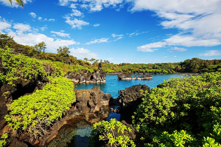 Zdjęcie piękne tropikalne krajobrazy na wyspie maui na hawajach