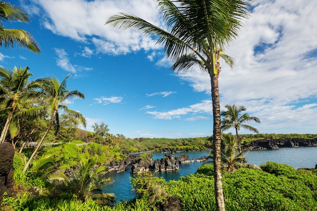 Piękne tropikalne krajobrazy na wyspie Maui na Hawajach