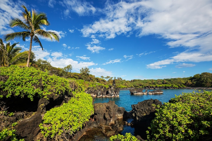 Zdjęcie piękne tropikalne krajobrazy na wyspie maui na hawajach