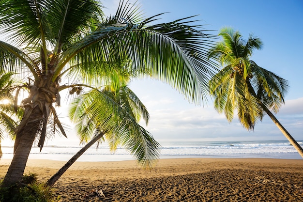Piękne Tropikalne Wybrzeże Oceanu Spokojnego W Kostaryce