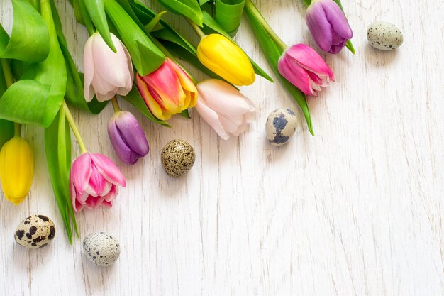 Piękne tulipany i jaja przepiórcze na białym tle