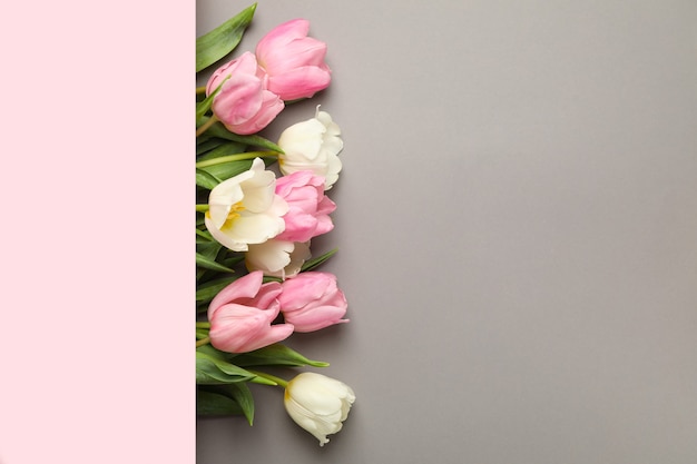 Piękne tulipany i miejsca na tekst na szarym tle