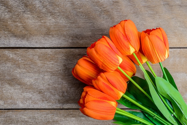 Piękne tulipany na drewniane tła