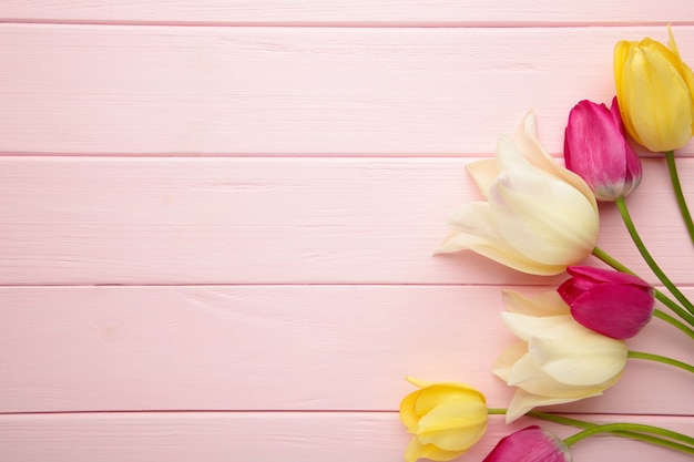 Piękne tulipany na różowej powierzchni z kopią miejsca