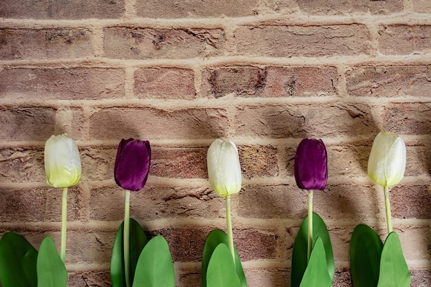 Piękne tulipany na tle ceglanego muru Urocza kartka z życzeniami z tulipanami na dzień matki