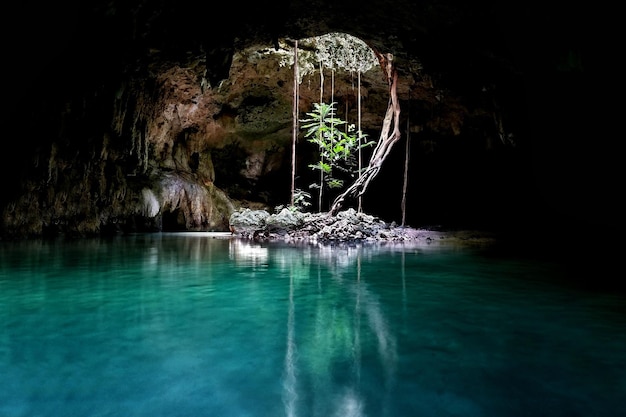 Piękne ujęcie jaskini Two Eyes Cenote w Tulum w Meksyku