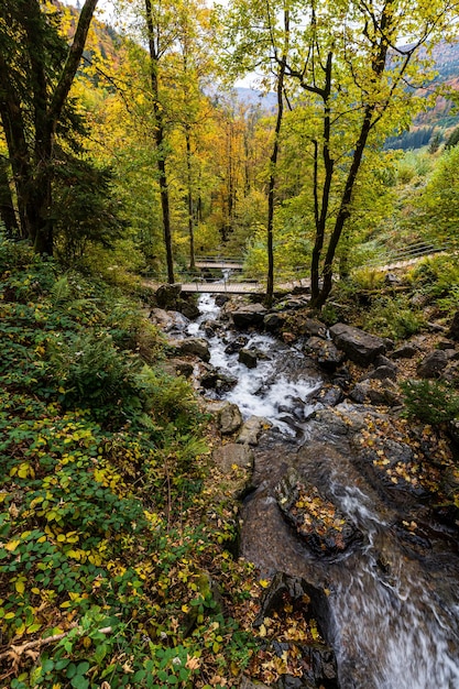 Piękne ujęcie jesiennej przyrody, wodospad Todtnau w Schwarzwaldzie, Niemcy