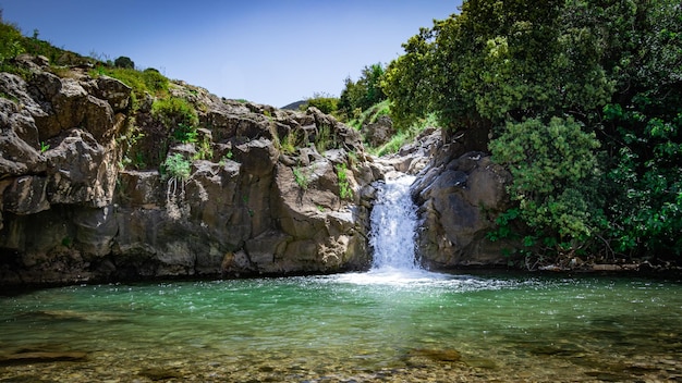 Piękne ujęcie płynącego wodospadu w lesie na Wzgórzach Golan