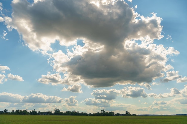 Piękne wiejskie pole na tle niebieskiego nieba i chmur Kompleks rolno-przemysłowy do uprawy zbóż pszenicy roślin strączkowych jęczmień fasola