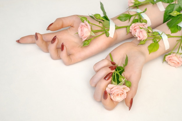 Zdjęcie piękne żeńskie ręki z menchii róży kwiatami odizolowywającymi