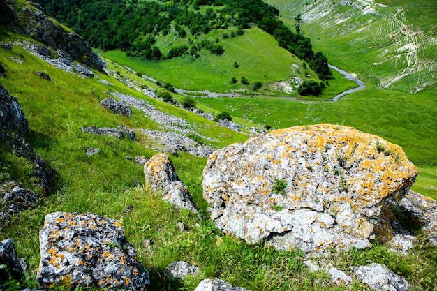 Piękne zielone krajobrazy ze wzgórzami, lasami i skałami w Mołdawii