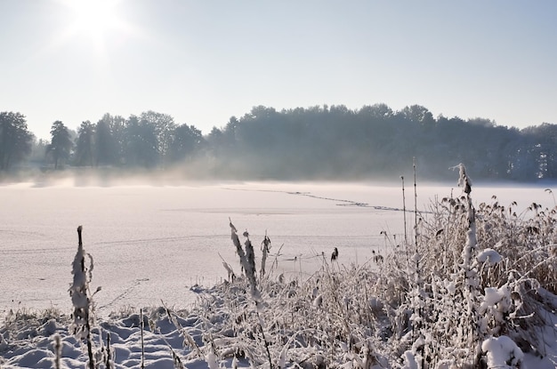 Zdjęcie piękne zimowe zdjęcie na jeziorze i lesie ze śniegiem i lodem