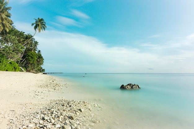 Pięknego Widoku Długi Ujawnienie Przy Plażą, Białym Piaskiem, Kokosowym Drzewem I Pięknym Niebieskim Niebem