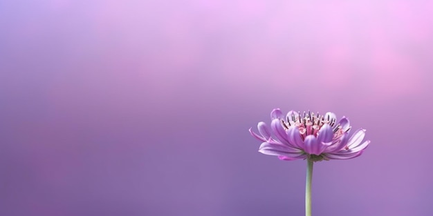 Piękno fioletowy kwiat dekoracja ogrodu kopiować przestrzeń rozmyte tło generatywne AI