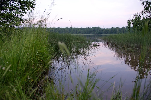 piękno letniego krajobrazu