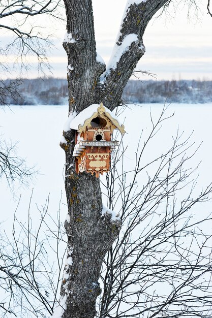 Piękny birdhouse na drzewie