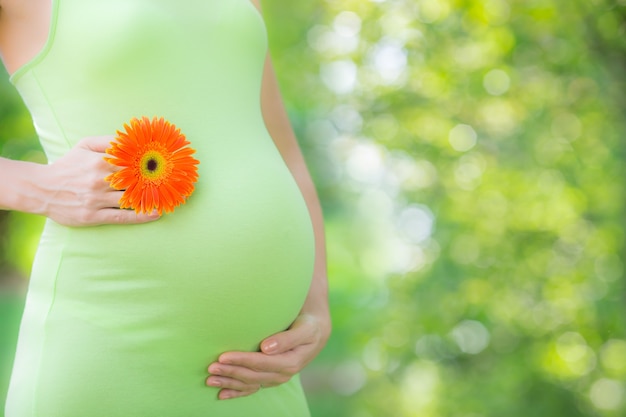 Piękny brzuch młodej kobiety w ciąży na zielonym wiosennym tle