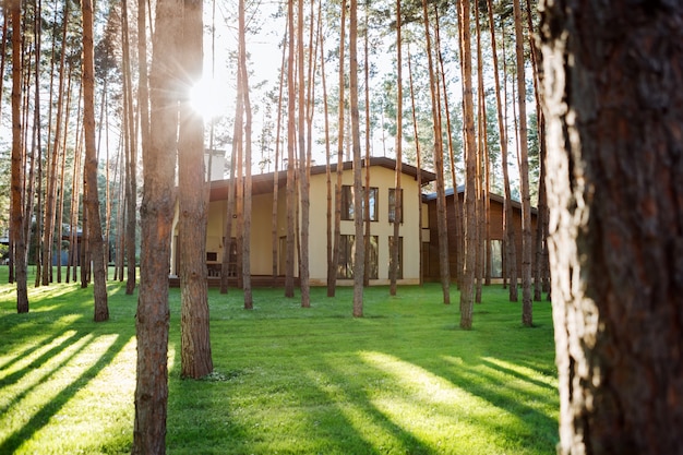 Piękny Budynek. Zamknij Się Piękny ładny Dom Stojący W Lesie