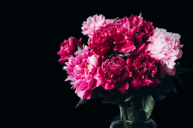 Piękny bukiet kwiatów magenta piwonie w szklanym wazonie na czarnym tle Miękki widok z przodu
