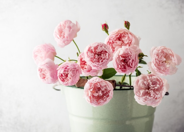 Piękny bukiet kwiatów świeżych angielskich róż rosa w zielonym wiaderku z emalii
