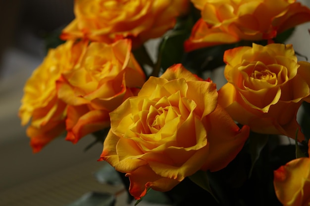 Piękny bukiet pomarańczowych róż z delikatnymi płatkami